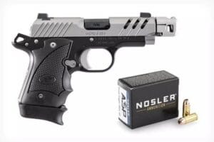 kimber esv micro 9